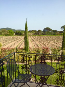 Balcon vue vigne